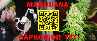 индика Ставрополь