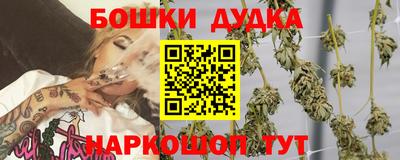 индика Ставрополь